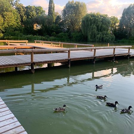 Altstadtloft Straubing Kültér fotó